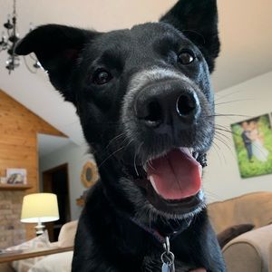 Meet your Posher, Paula